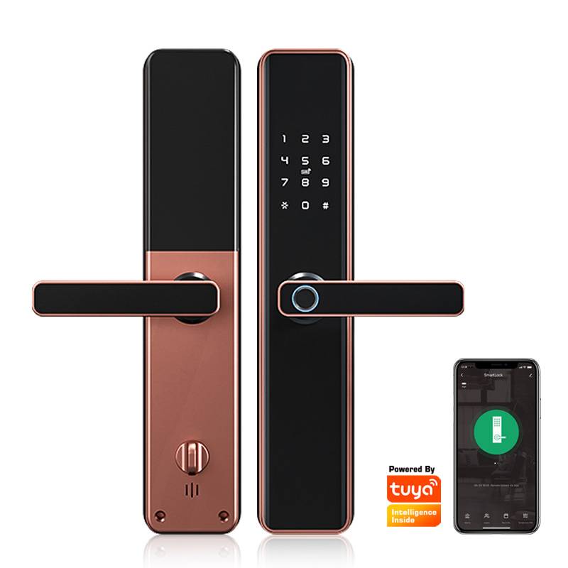 WIFI Smart Fingerprint Door Lock For Front Door